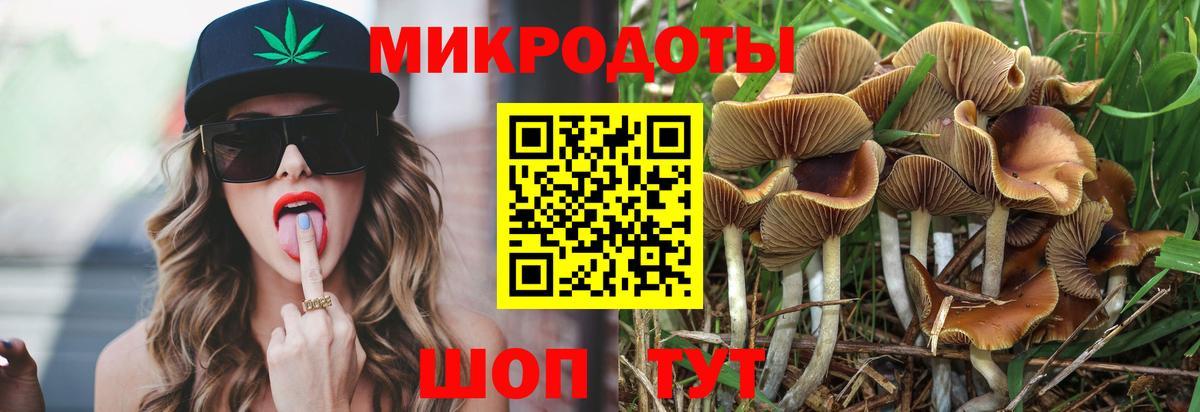 Владикавказ  Галлюциногенные грибы MAGIC MUSHROOMS  Галлюциногенные грибы MAGIC MUSHROOMS  дарнет шоп  Вход с VPN 